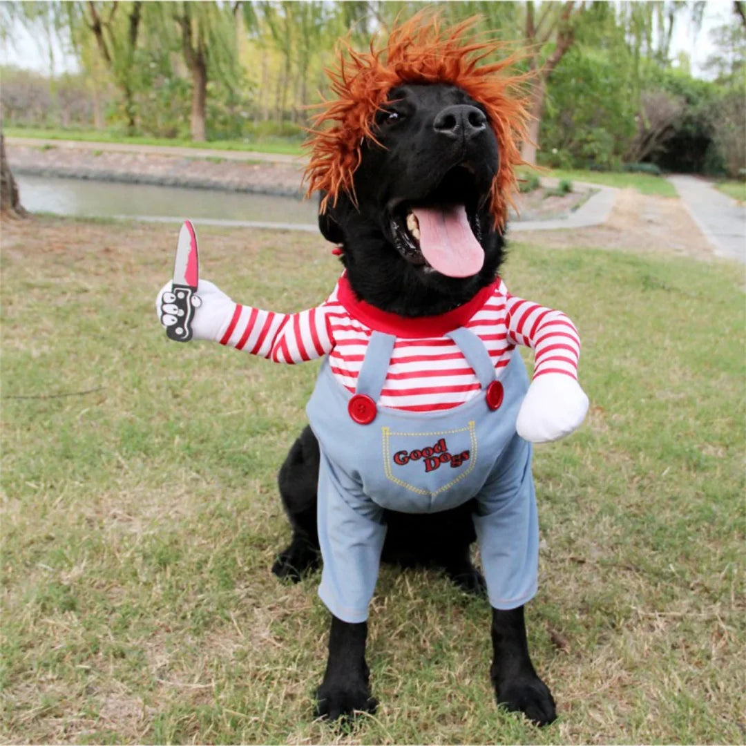 Spooky Halloween Dog Costume