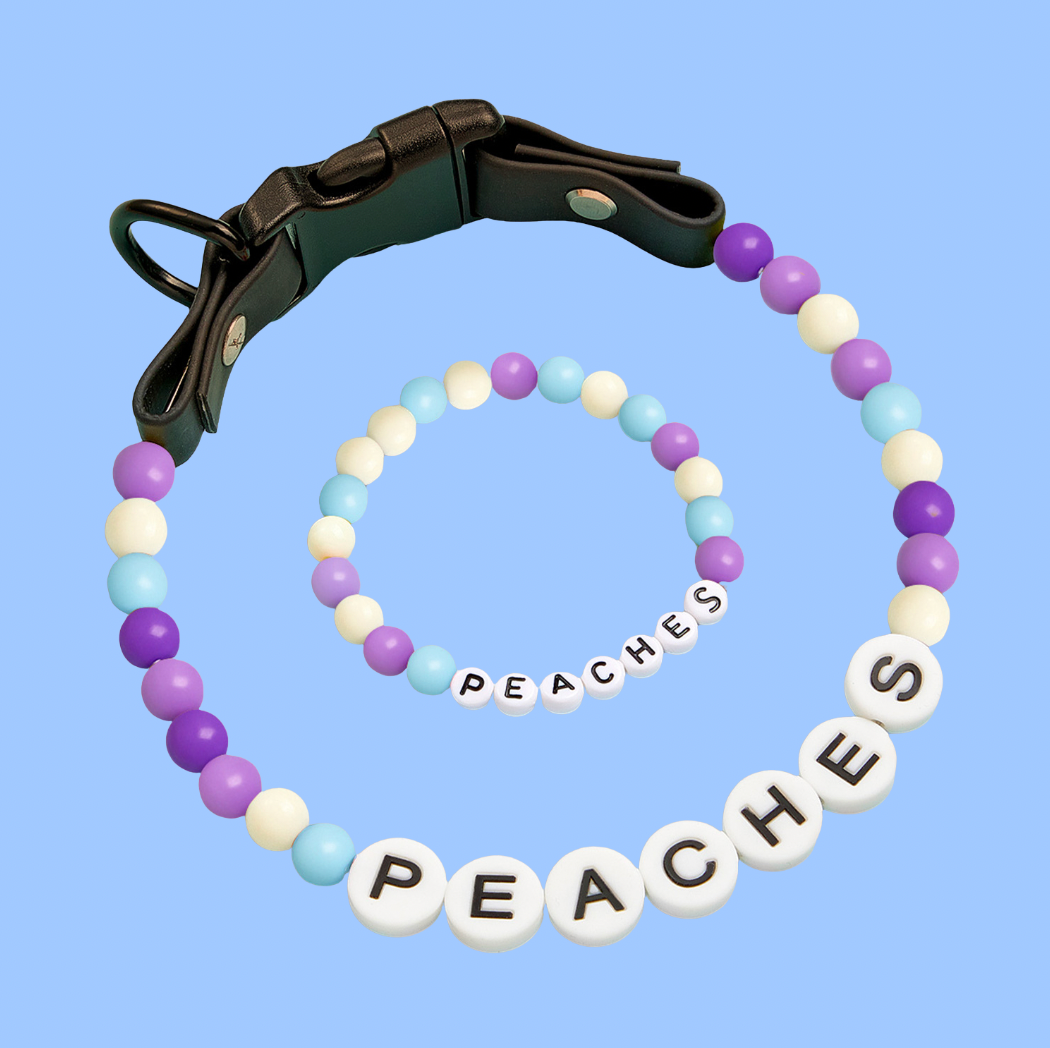 Cute Dog Collar + Free Matching Bracelet