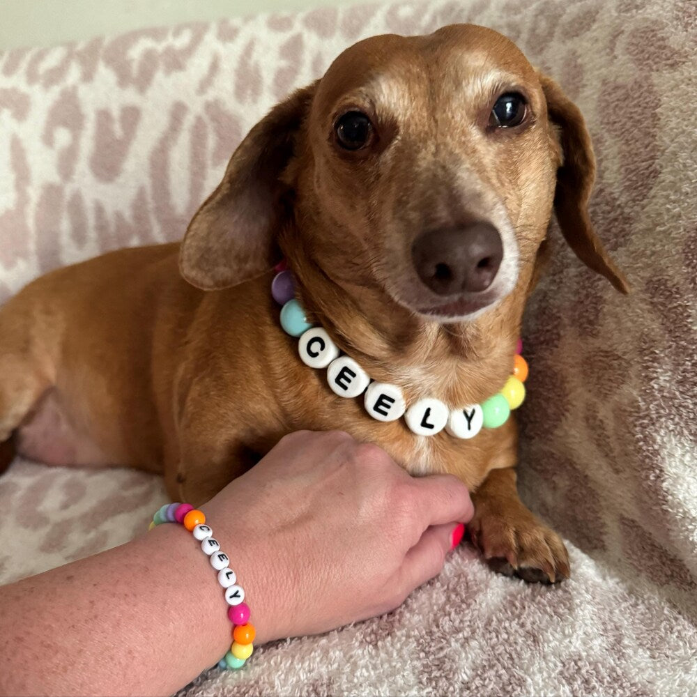 Cute Dog Collar + Free Matching Bracelet